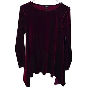 Rich Burgundy velvet looking A shape style long sleeve top